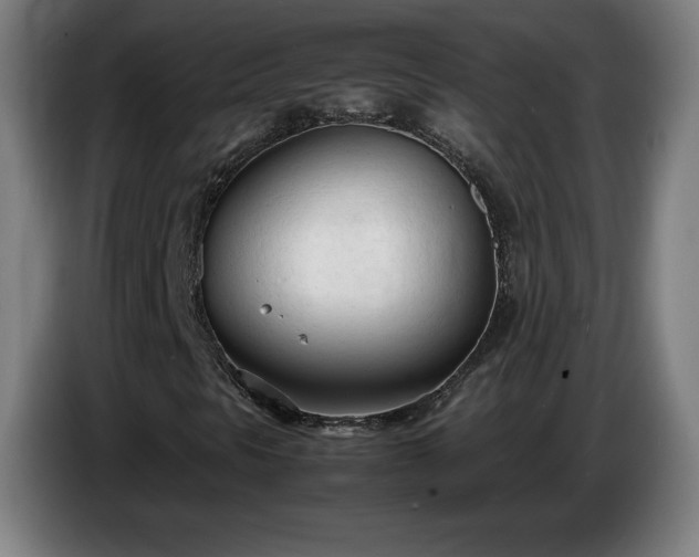 X0000086721297200704201618