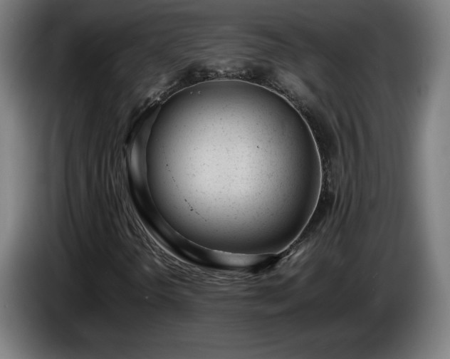 X0000086721298200704201618