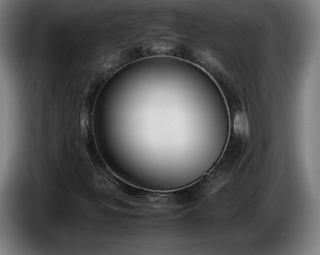 X0000086721299200704201618