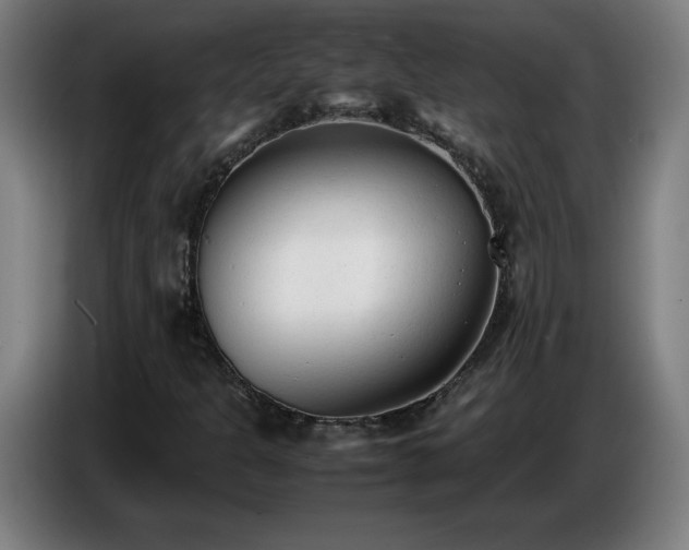 X0000086721301200704201618