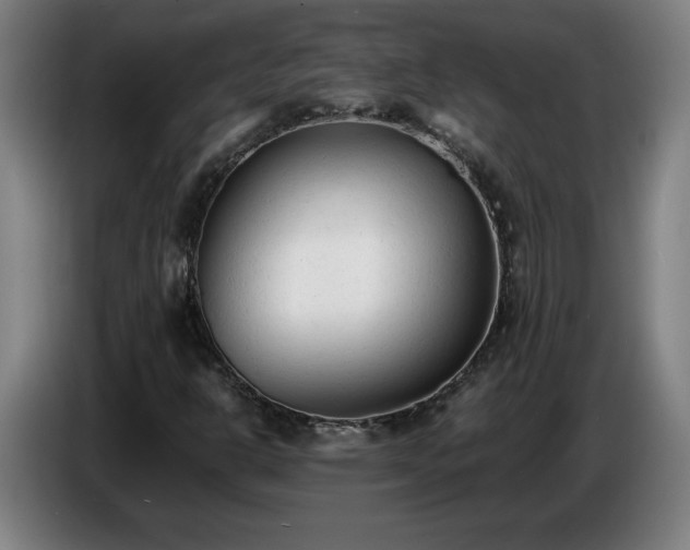 X0000086721302200704201618