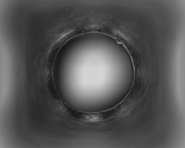 X0000086721303200704201618