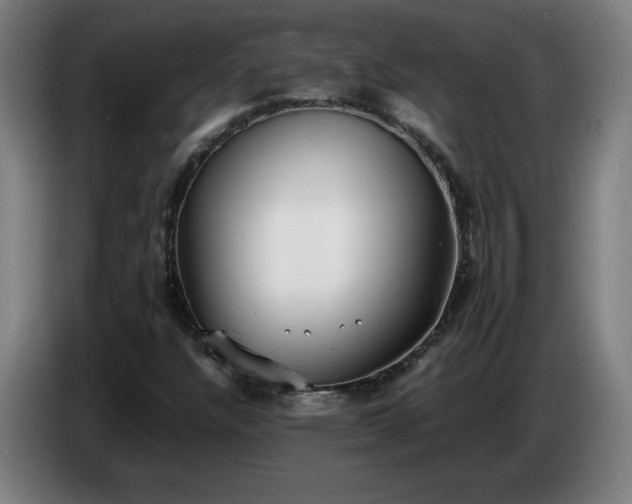 X0000086721304200704201618