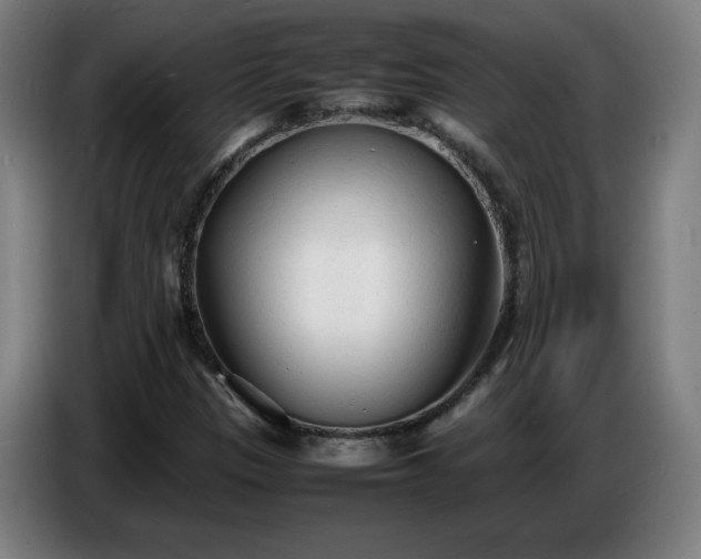 X0000086721305200704201618