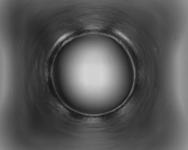 X0000086721306200704201619