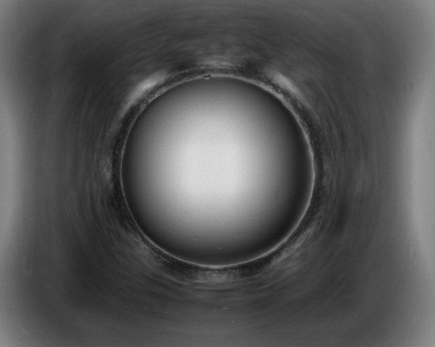 X0000086721307200704201619