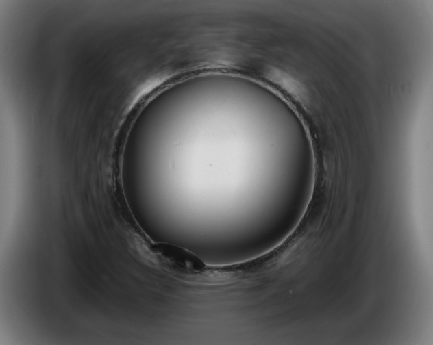 X0000086721308200704201619