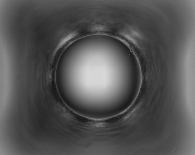X0000086721309200704201619