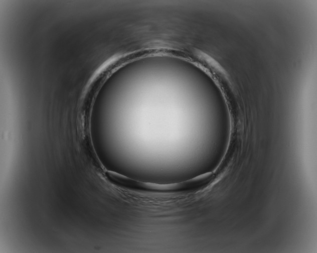 X0000086721310200704201619