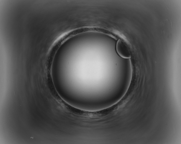 X0000086721311200704201619