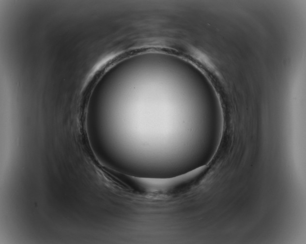 X0000086721312200704201619