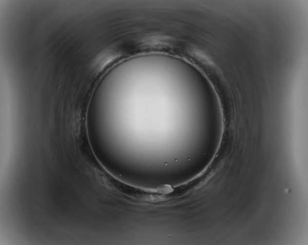 X0000086721313200704201619