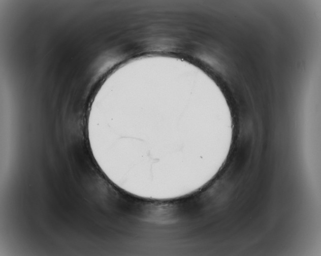 X0000086721314200704201619