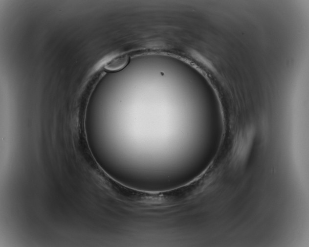 X0000086721315200704201619