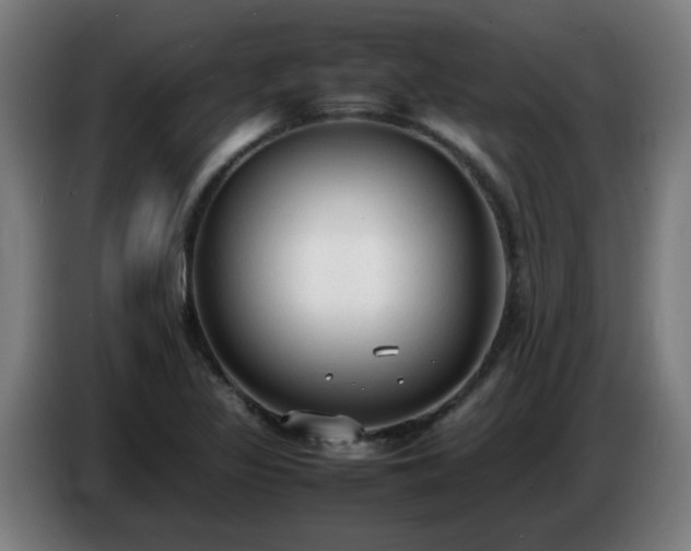 X0000086721317200704201619