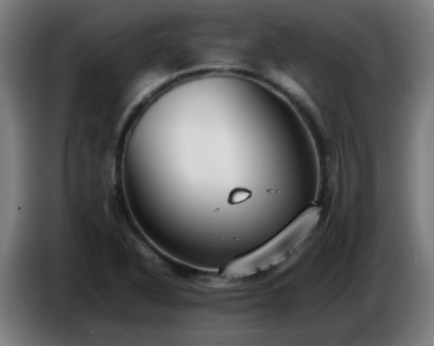 X0000086721318200704201619