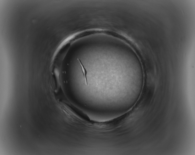 X0000086721319200704201619