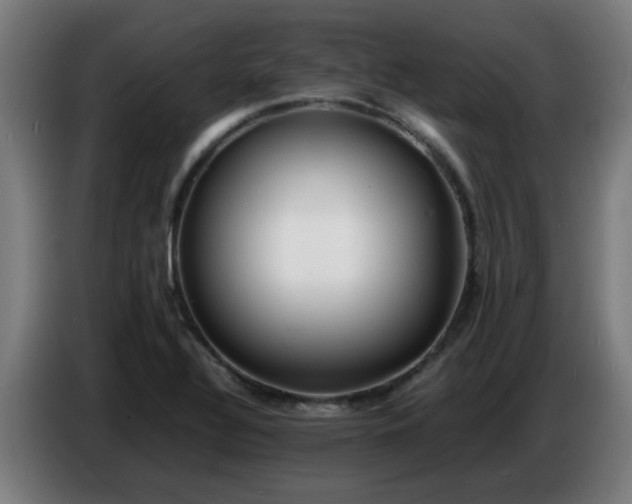 X0000086721320200704201619