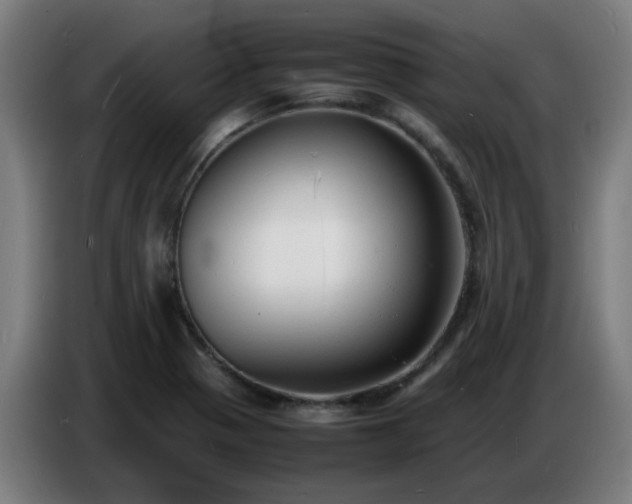 X0000086721321200704201619