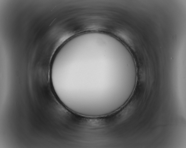 X0000086721322200704201619