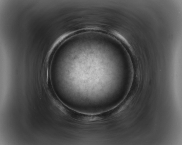 X0000086721323200704201619