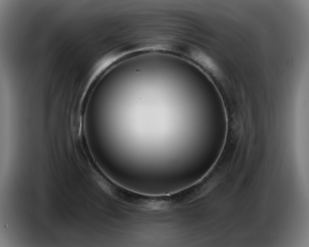 X0000086721324200704201619