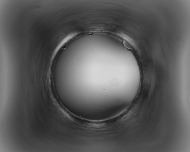 X0000086721325200704201619