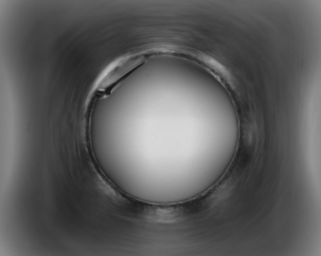 X0000086721326200704201619