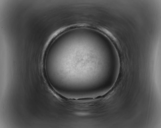 X0000086721327200704201619