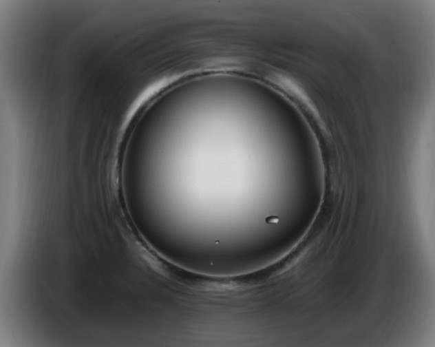 X0000086721328200704201619