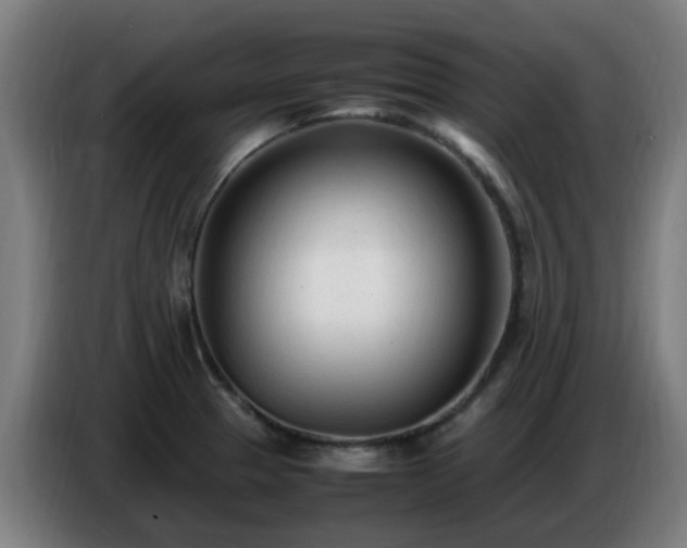X0000086721329200704201619