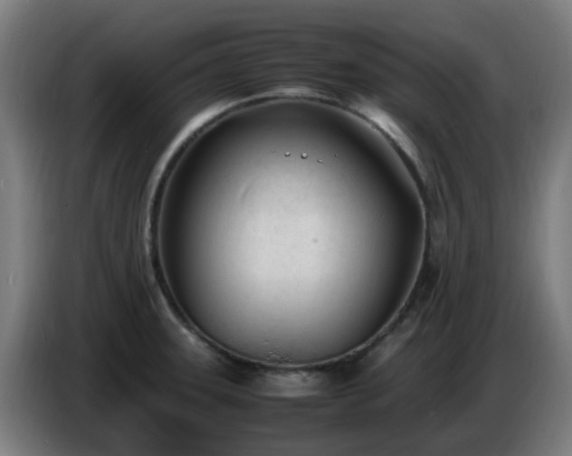 X0000086721331200704201619