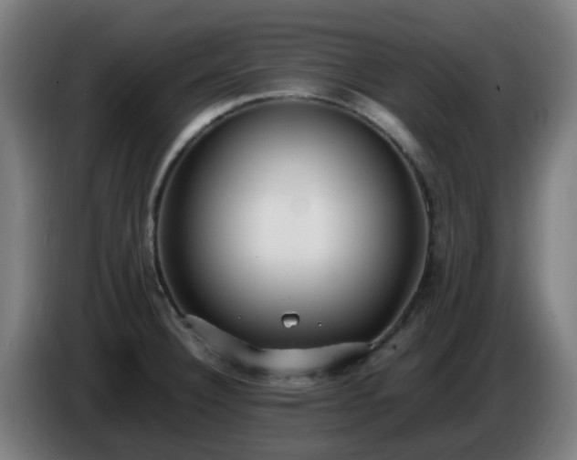 X0000086721332200704201619