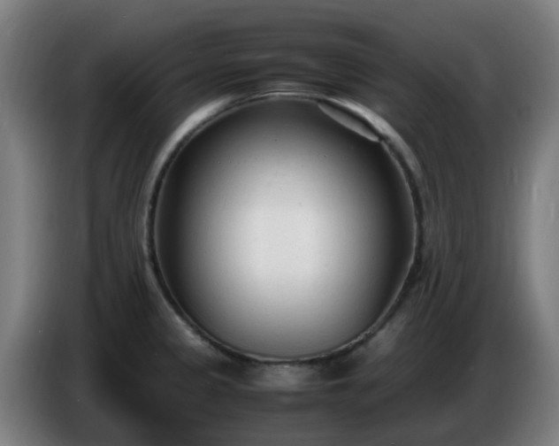X0000086721333200704201619