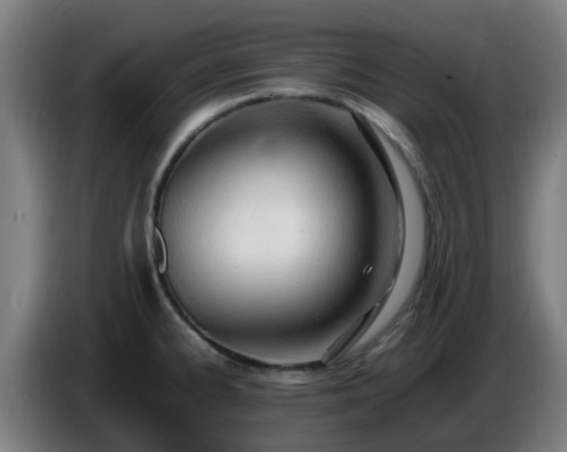 X0000086721334200704201619