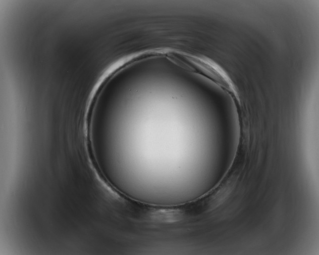X0000086721335200704201619
