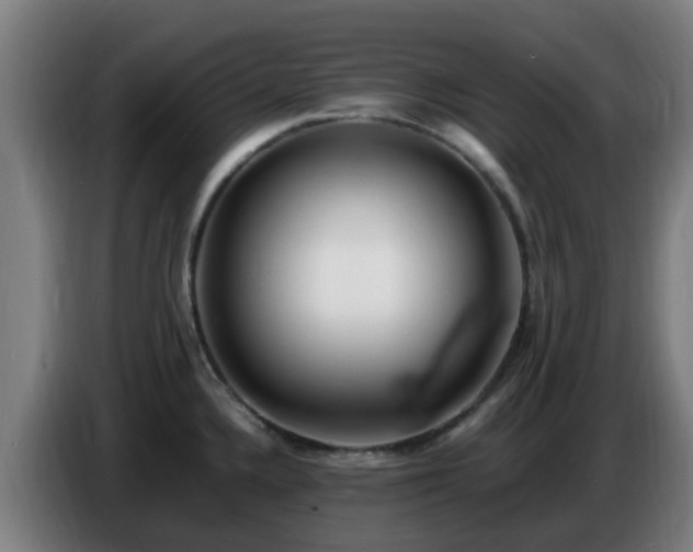 X0000086721336200704201619