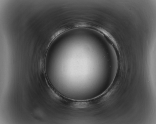 X0000086721337200704201619