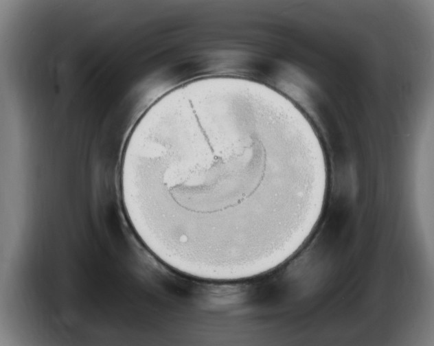 X0000086721338200704201619
