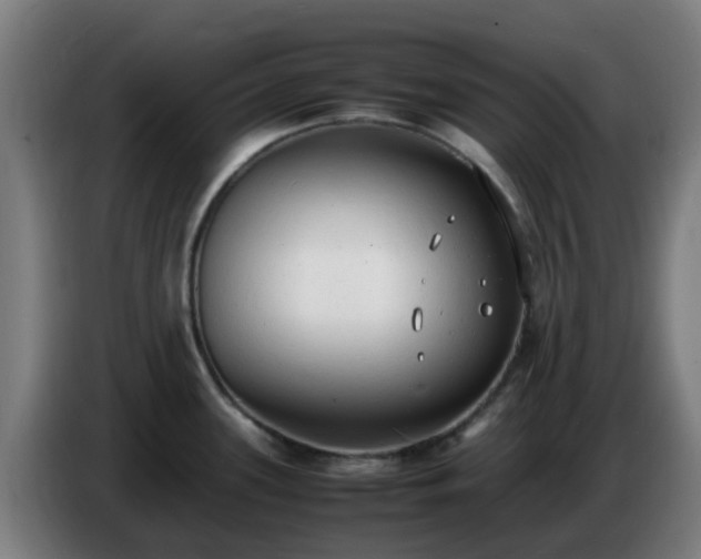 X0000086721339200704201619