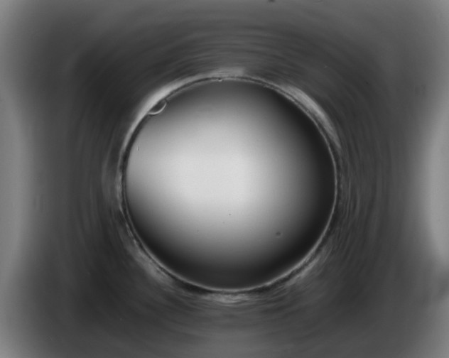 X0000086721340200704201619