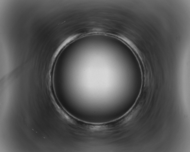 X0000086721341200704201619
