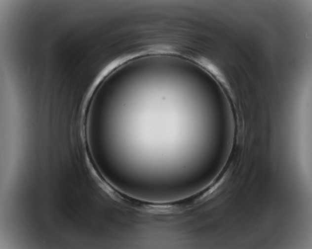 X0000086721342200704201619