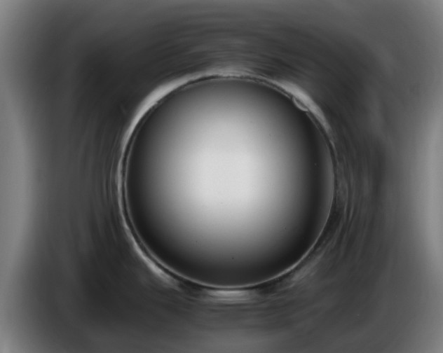 X0000086721343200704201619