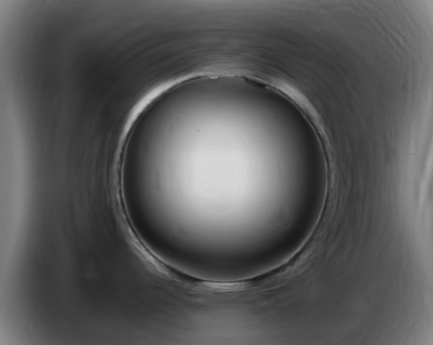X0000086721344200704201619