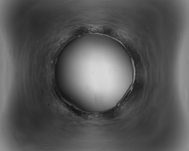 X0000086721345200704201618