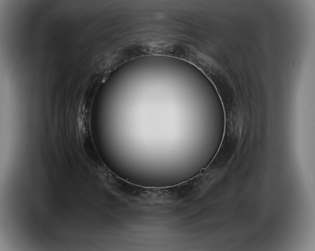 X0000086721346200704201618