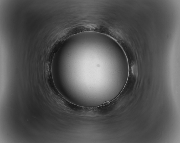 X0000086721347200704201618