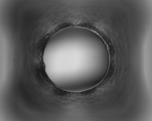 X0000086721349200704201618