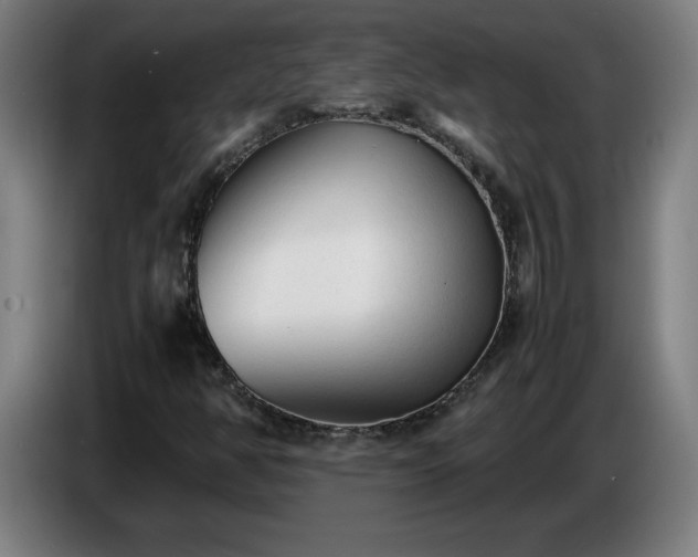 X0000086721350200704201618
